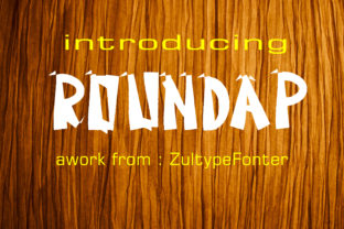 How the Roundap Font Adds Playful Consistency to Your Brand