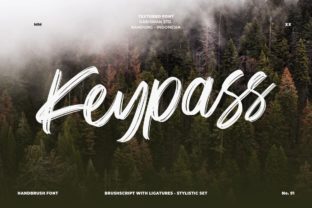 Keypass: A Bold Brush Font for Expressive Branding