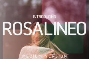Rosalineo Medium: A Polished Sans Serif for Real Business Branding