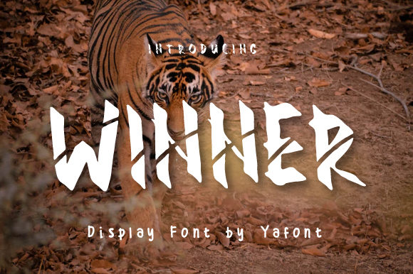 Winner Font: A Bold Display Typeface for Campaign Headlines